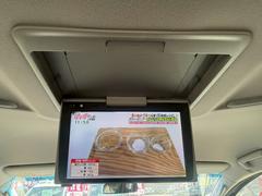 ֡ż鷺磱ʧޤбǽڤˤ̤ 5