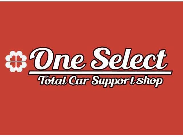 ランドクルーザー７０ 　ランクル７６バン　３０ｔｈ特別記念仕様車　前後デフロック寒冷地仕様　ＫＯＮＩショック　ブラＶ１６ＡＷ５本　ウッドコンビハンドル　インナーブラックＨＬ　ガナドールマフラー　バックカメラ　ナビ（48枚目）