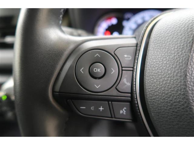 ＲＡＶ４ Ｇ　４ＷＤ　フルセグ　メモリーナビ　ミュージックプレイヤー接続可　バックカメラ　衝突被害軽減システム　ＬＥＤヘッドランプ　ワンオーナー　フルエアロ（27枚目）