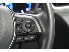 �������饯���� �ϥ��֥�åɡ��ڡ����꡼�ʥӡ��ߥ塼���å��ץ쥤�䡼��³�ġ��Хå������ 0903756A20251121T001 4