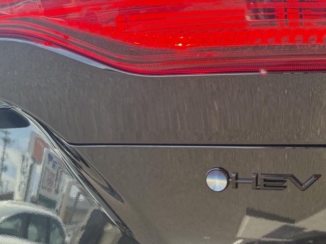 ハリアーハイブリッド Z レザーパッケージ・ナイトシェード 4WD E-Four 特別仕様車 調光式パノラマルーフ パノラミックビューモニター デジタルインナーミラー ブラインドスポットモニター クルーズコントロール ハンズフリーバックドア 寒冷地仕様(35枚目)