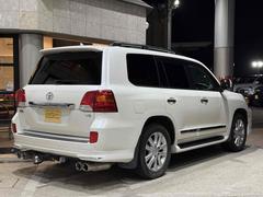 ɥ롼 ڣءǥꥹեȥݥ顼ʥɡ룴ܽФޥե顼ҥåСڣѣ 0903812A20251018G001 3