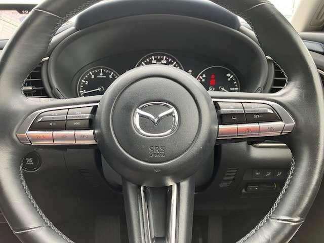 CX-30 20S プロアクティブ ツーリングセレクション 4WD 衝突被害軽減ブレーキ ナビゲーション テレビ バックカメラ スマートキー プッシュスタート バニティミラー付きサンバイザー 電動パーキング クルーズコントロール 1年間走行距離無制限の中古車保証付き(15枚目)