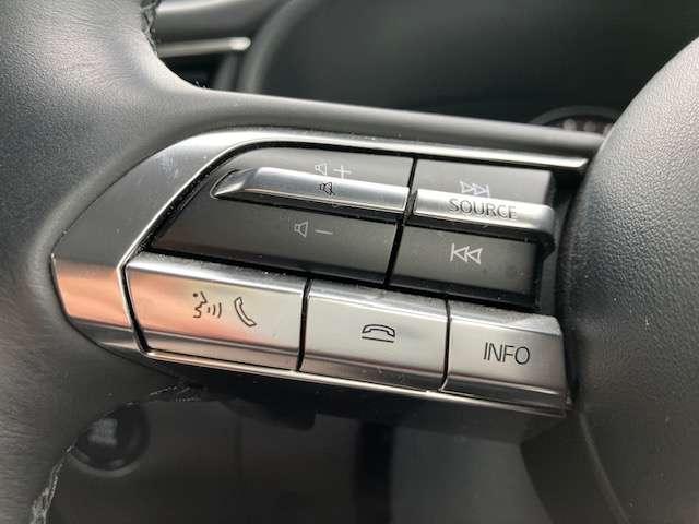 CX-30 20S プロアクティブ ツーリングセレクション 4WD 衝突被害軽減ブレーキ ナビゲーション テレビ バックカメラ スマートキー プッシュスタート バニティミラー付きサンバイザー 電動パーキング クルーズコントロール 1年間走行距離無制限の中古車保証付き(17枚目)