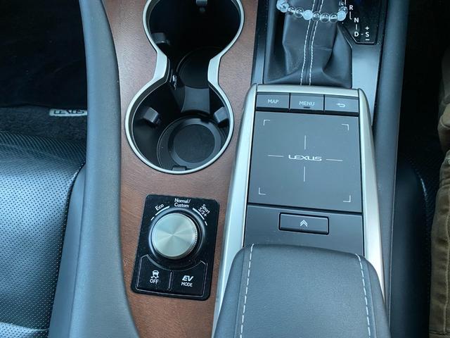 RX RX450h バージョンL 450h バージョンL ハイブリッド 禁煙車 純正ナビ ミシュランタイヤ ドラレコ レザーシート 地デジ 全方位カメラ パワーシート(31枚目)