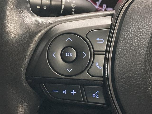 ＲＡＶ４ アドベンチャー　サンルーフ　４ＷＤ　メモリーナビ　ミュージックプレイヤー接続可　バックカメラ　衝突被害軽減システム　ＥＴＣ　ドラレコ　ＬＥＤヘッドランプ（25枚目）