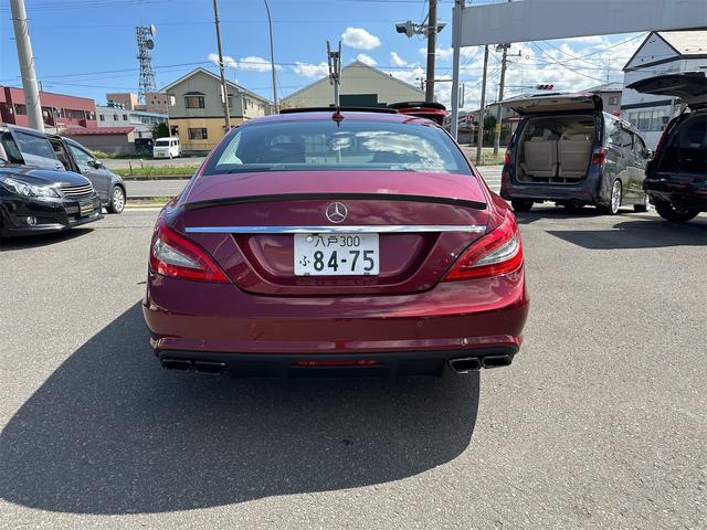 ＣＬＳクラス ＣＬＳ３５０　ブルーエフィシェンシー　関東仕入れ　カーボンスポイラー　カーボントランクスポイラー　ＷＡＬＤサイドステップ　マフラーカッター　スーパースター　レオンハルト　シュタイン２０インチＡＷカスタムカラー（9枚目）