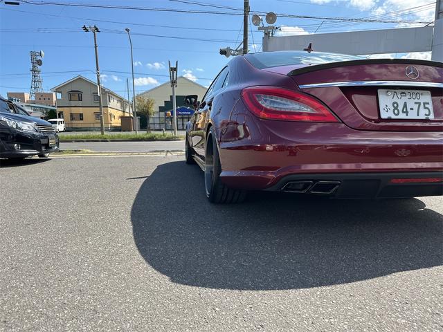 ＣＬＳクラス ＣＬＳ３５０　ブルーエフィシェンシー　関東仕入れ　カーボンスポイラー　カーボントランクスポイラー　ＷＡＬＤサイドステップ　マフラーカッター　スーパースター　レオンハルト　シュタイン２０インチＡＷカスタムカラー（47枚目）