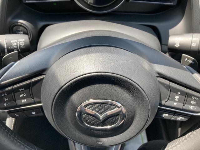 ＭＡＺＤＡ２ １５Ｓプロアクティブ　Ｓパッケージ　４ＷＤ　スマートシティブレーキサポート　追突防止装置　誤発進防止装置　横滑り防止装置　マツダコネクトフルセグナビ　全方位モニター　ＥＴＣ　シート／ステアヒーター　レーダークルーズ　ＬＥＤオートライト（28枚目）