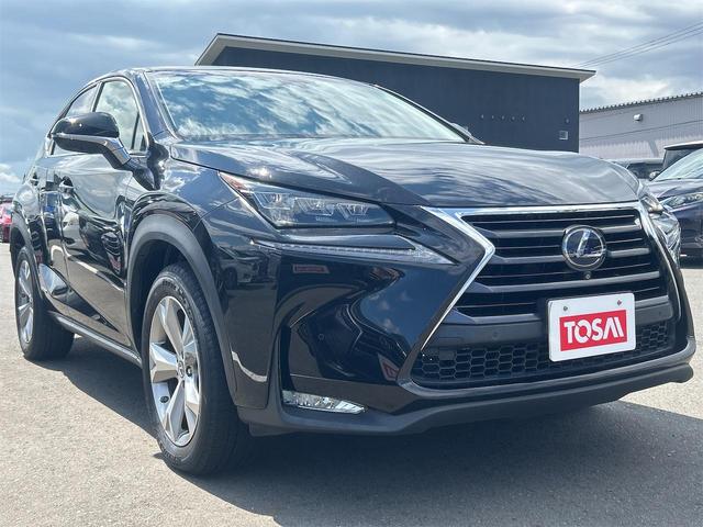 ＮＸ ＮＸ３００ｈ　バージョンＬ　４ＷＤ　追突防止装置　純正フルセグＳＤナビ　Ｂｌｕｔｅｔｏｏｔｈ　全方位モニター　プリクラッシュセーフティ　レーダークルーズ　自動バックドア　シート／ステアヒーター　ＬＥＤオートライト　横滑防止装置（55枚目）