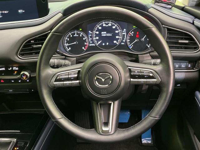 ＣＸ－３０ ２０Ｓ　プロアクティブ　ツーリングセレクション　マツダコネクト　禁煙車　スマートブレーキサポート　全周囲カメラ　レーダークルーズ　パワーバックドア　パワーシート　シートヒーター　ＥＴＣ　Ｂｌｕｅｔｏｏｔｈ　ドラレコ　ＬＥＤヘッド　盗難防止装置（9枚目）