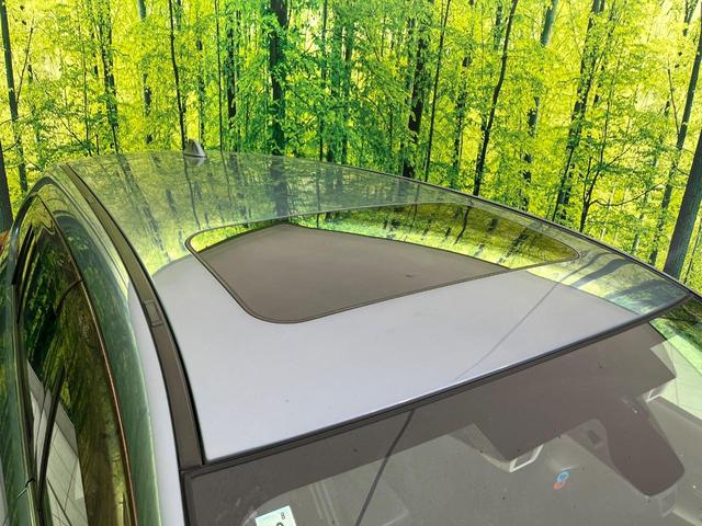 レヴォーグ 1.6GT-Sアイサイト ターボ サンルーフ ナビ バックカメラ 衝突軽減装置 レーダークルーズ BSM スマートキー LEDヘッド ETC 車線逸脱警報 オートライト デュアルエアコン 純正18インチAW 革巻きステアリング(26枚目)