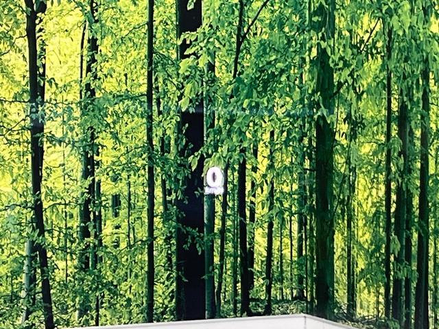 MAZDA3セダン XDプロアクティブ ツーリングセレクション 純正ナビ 全周囲カメラ BOSEサウンド 衝突軽減 レーダークルーズ パワーシート シートヒーター コーナーセンサー スマートキー LEDヘッド ETC オートハイビーム 純正18インチAW(77枚目)