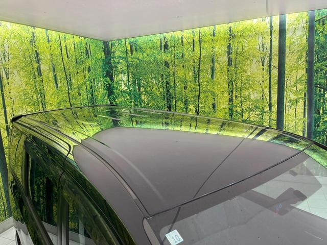 ヴォクシー ZS 両側電動ドア BIGX10型ナビ 後席モニター バックカメラ 衝突軽減装置 スマートキー LEDヘッド ETC オートライト 車線逸脱警報 デュアルエアコン 純正16インチAW Bluetooth再生(26枚目)