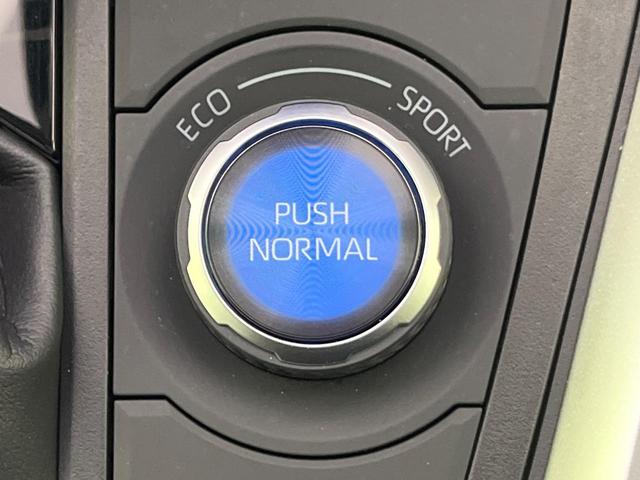 ＲＡＶ４ ハイブリッドアドベンチャー　オフロードパッケージＩＩ　１０．５型ディスプレイオーディオ　全周囲カメラ　寒冷地仕様　衝突軽減　ＡＣ１００Ｖ電源　レーダークルーズ　シートベンチレーション　パワーシート　コーナーセンサー　ＬＥＤヘッド　ＥＴＣ　合皮シート（50枚目）