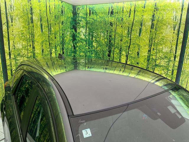 CX-5 XD ナビ バックカメラ 衝突軽減装置 BOSEサウンド スマートキー HIDヘッド ETC クルコン オートライト 純正17インチAW 革巻きステアリング フォグライト ドアバイザー プライバシーガラス(26枚目)