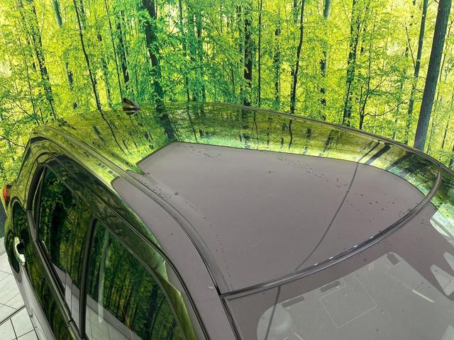 ライズ Ｚ　純正ナビ　衝突軽減　レーダークルーズ　バックカメラ　シートヒーター　コーナーセンサー　スマートキー　ＬＥＤヘッド　ＥＴＣ　純正１７インチアルミ　オートハイビーム　オートライト　オートエアコン（30枚目）