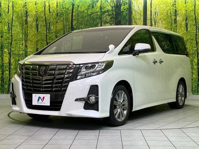 アルファード 2.5S Aパッケージ タイプブラック BIG-X11型ナビ 後席モニター バックカメラ 両側電動ドア 衝突被害軽減 レーダークルーズ 電動リアゲート 半革シート コーナーセンサー スマートキー LEDヘッド ETC 純正18インチAW(22枚目)