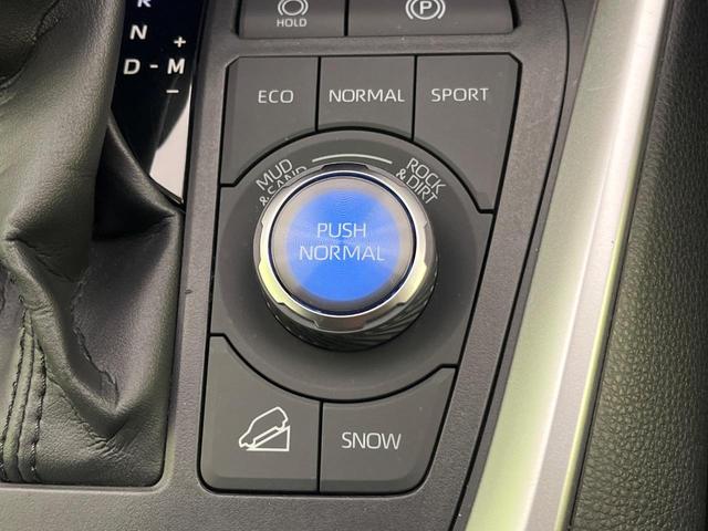 RAV4 アドベンチャー 10.5型ディスプレイオーディオ 全周囲カメラ デジタルインナーミラー 衝突軽減装置 レーダークルーズ シートベンチレーション LEDヘッド ブラインドスポットモニター パワーシート ETC(25枚目)