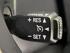 ե ڡǥ󡡽ʥӡʥ˥Хå 0903999A20251028Q003 7