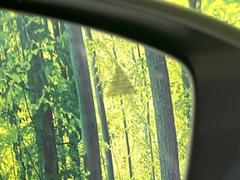 ڥ֥饤ɥݥåȥ˥󥰡桢ɥߥ顼λѤˤʤ䤹ս˸³֤᤹ܶȥɥߥ顼ն˷ٹɽɥ饤Сմ򤷤Ƥޤ 6