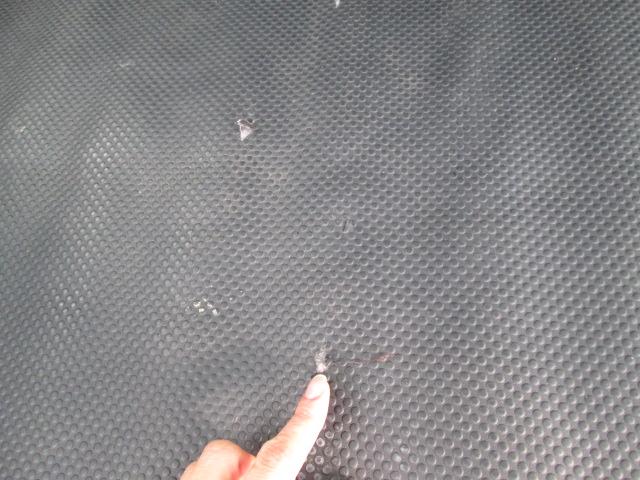 サクシード UL(50枚目)