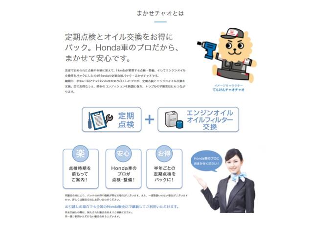 Ｇジャストセレクション　バツクカメラ　助手席エアバック　ＤＶＤ再生機能　横滑り防止装置付　キーレスキー　ウォークスルー　ＡＡＣ　３列シート　ワンセグ　ＥＴＣ　ＡＢＳ　パワーステアリング　ナビ＆ＴＶ(31枚目)