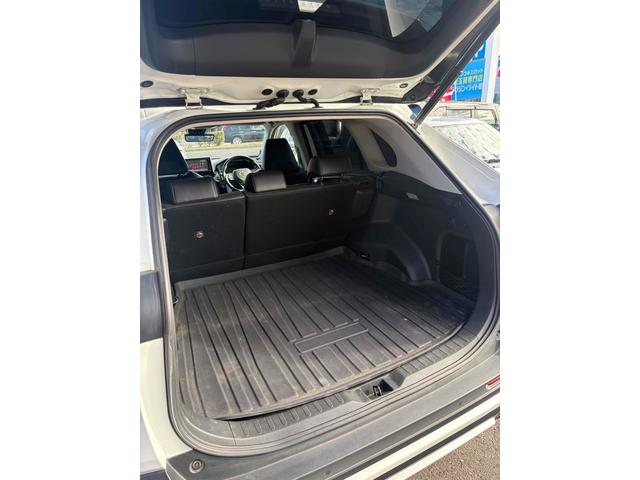 ＲＡＶ４ ハイブリッドＧ　４ＷＤ　ＥＴＣ　バックカメラ　クリアランスソナー　オートクルーズコントロール　レーンアシスト　パワーシート　衝突被害軽減システム　サンルーフ　ＴＶ　オートマチックハイビーム　ＬＥＤヘッドランプ（19枚目）