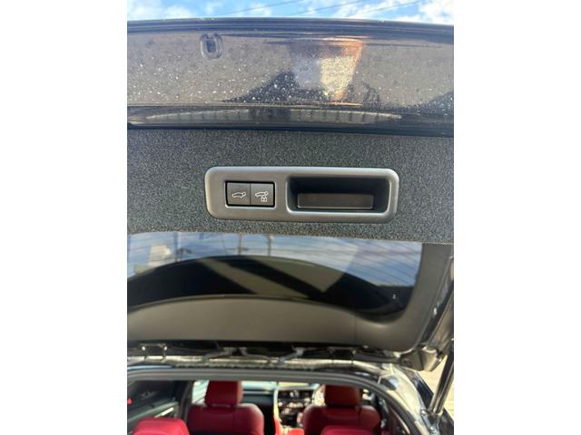 ＲＸ ＲＸ３００　Ｆスポーツ　４ＷＤ　全周囲カメラ　クリアランスソナー　オートクルーズコントロール　レーンアシスト　パワーシート　衝突被害軽減システム　サンルーフ　ナビ　オートマチックハイビーム　ＬＥＤヘッドランプ　電動リアゲート（30枚目）