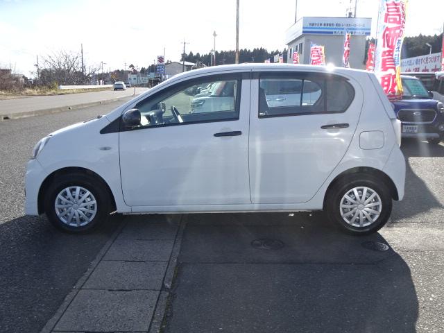 �����ԃ��[���E�����ԕی�����舵���Ă���܂��I