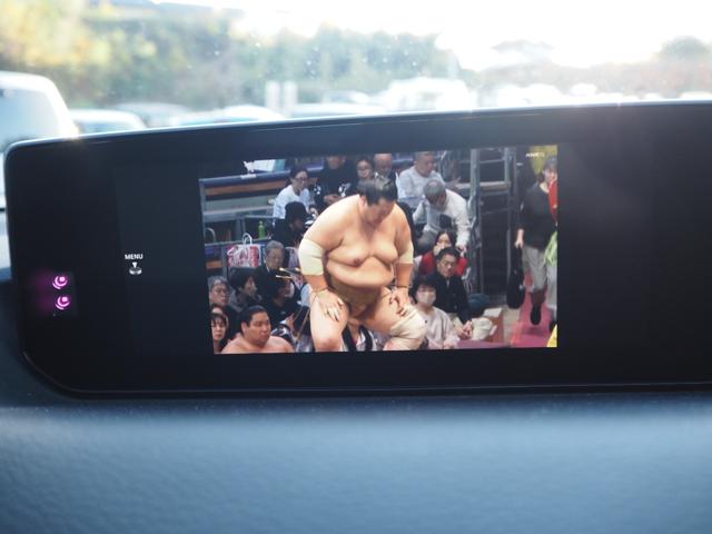 MX-30 ベースグレード 1年保証 車検整備付き ナビ テレビ バックカメラ Bluetooth音楽 プッシュスタート 観音開きドア(33枚目)