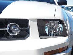 �ָ�����������⡿�ɥ쥹���åס������Ǥ⤴���̤�������������Ǥ�����Ǹ�ޤǼ̿��������������� 6