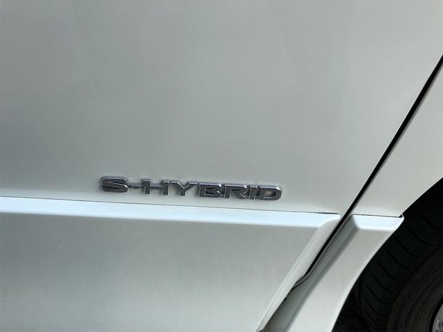 セレナ ハイウェイスター　ＶセレクションＩＩ　４ＷＤ　純正９インチＳＤナビＴＶ　アランドビューモニター　両側パワースライドドア　ＬＥＤヘッドライト　純正Ｒ／フリップモニター　純正エンジンスターター　プロパイロットアイドリングストップ（22枚目）