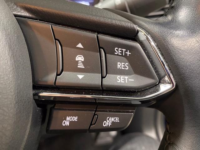 XD プロアクティブ 4WD アクティブセンス ACC 純正ナビ 全周囲カメラ フルセグ Bluetooth USB クリアランスソナー LED 電動リアゲート ドラレコ 純正アルミ夏タイヤ装着 スペアキー 電動格納ミラー(12枚目)