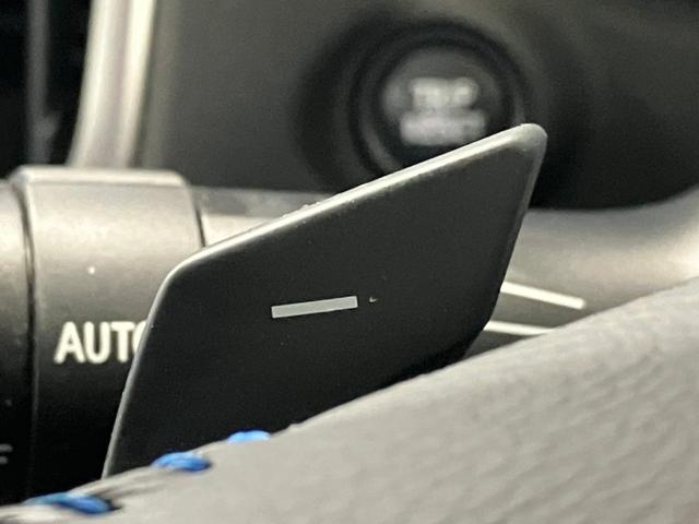 アドバンス 本革シート シートヒーター パワーシート ブラックルーフレール BSM ドラレコ ナビ TV Bluetooth バックモニター レーダークルーズコントロール 障害物センサー X-MODE(13枚目)