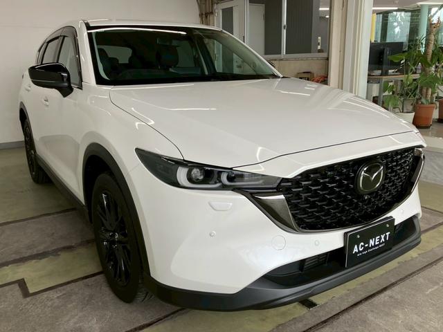 ＣＸ－５ ＸＤ　ブラックトーンエディション　４ＷＤ　純正１０インチナビ　３６０度ビューモニター　ＣａｒＰｌａｙ　パワーバックドア　アダプティブＬＥＤヘッドライト　シートヒーター　ＨＵＤ　ブラインドスポットモニター　ＡＣＣ　レーンキープ　ＥＴＣ（29枚目）