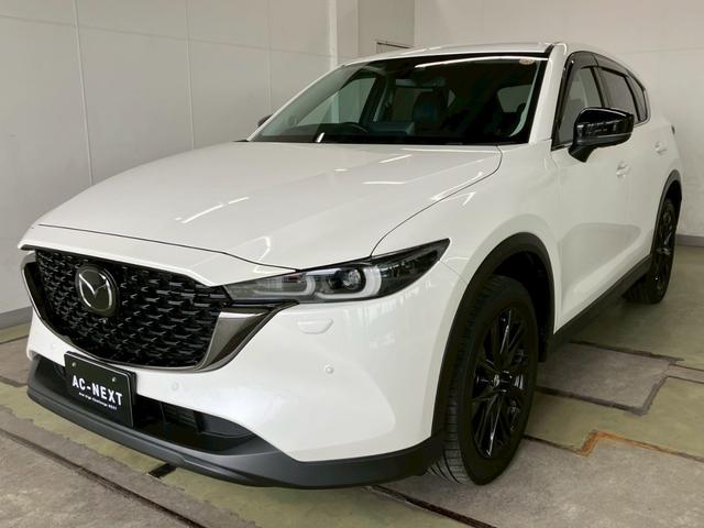 ＣＸ－５ ＸＤ　ブラックトーンエディション　４ＷＤ　純正１０インチナビ　３６０度ビューモニター　ＣａｒＰｌａｙ　パワーバックドア　アダプティブＬＥＤヘッドライト　シートヒーター　ＨＵＤ　ブラインドスポットモニター　ＡＣＣ　レーンキープ　ＥＴＣ（42枚目）