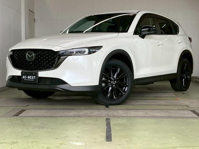 ＣＸ－５ ＸＤ　ブラックトーンエディション　４ＷＤ　純正１０インチナビ　３６０度ビューモニター　ＣａｒＰｌａｙ　パワーバックドア　アダプティブＬＥＤヘッドライト　シートヒーター　ＨＵＤ　ブラインドスポットモニター　ＡＣＣ　レーンキープ　ＥＴＣ（46枚目）