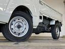 TOYOTA PIXIS TRUCK