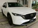 ＸＤ　ブラックトーンエディション　４ＷＤ　純正１０インチナビ　３６０度ビューモニター　ＣａｒＰｌａｙ　パワーバックドア　アダプティブＬＥＤヘッドライト　シートヒーター　ＨＵＤ　ブラインドスポットモニター　ＡＣＣ　レーンキープ　ＥＴＣ（29枚目）