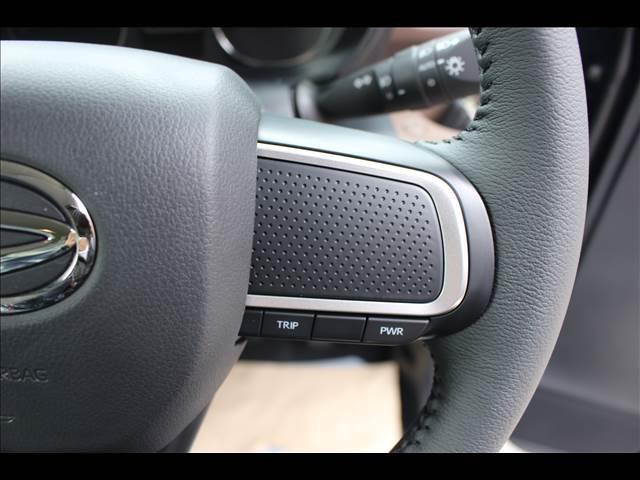 ムーヴキャンバス セオリーＧ　届出済未使用車（17枚目）