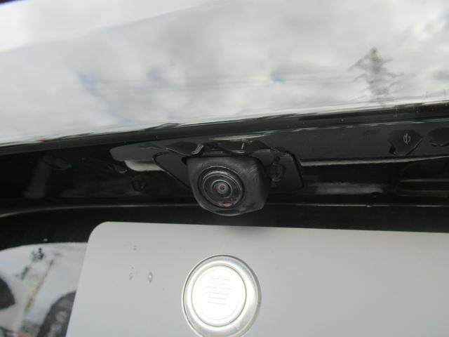 シビック タイプRレーシングブラックパッケージ(13枚目)