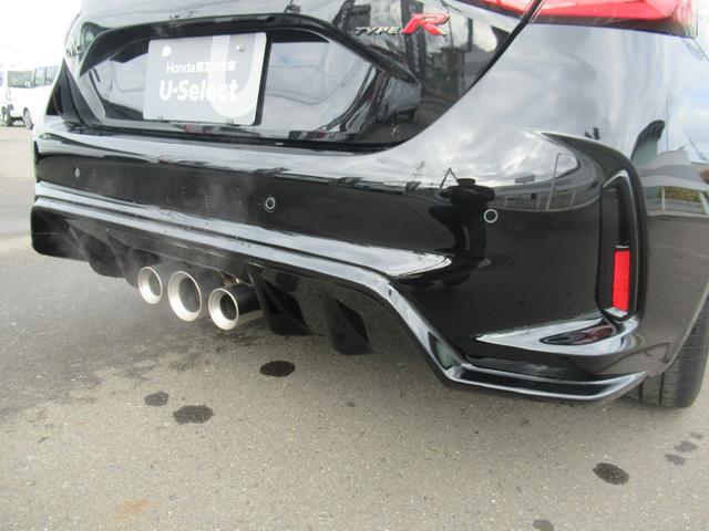 シビック タイプRレーシングブラックパッケージ(14枚目)