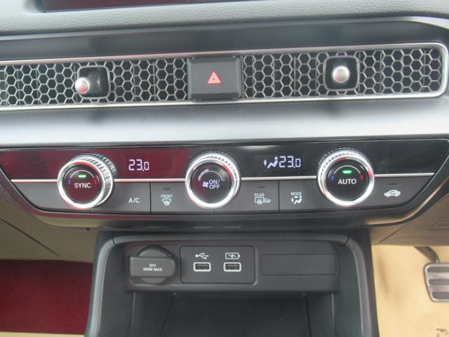 シビック タイプRレーシングブラックパッケージ(54枚目)