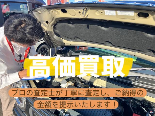 タフト Ｘ　４ＷＤ　バックカメラ　クリアランスソナー　レーンアシスト　衝突被害軽減システム　オートライト　ＬＥＤヘッドランプ　スマートキー　アイドリングストップ　電動格納ミラー　サンルーフ　ＣＶＴ（30枚目）