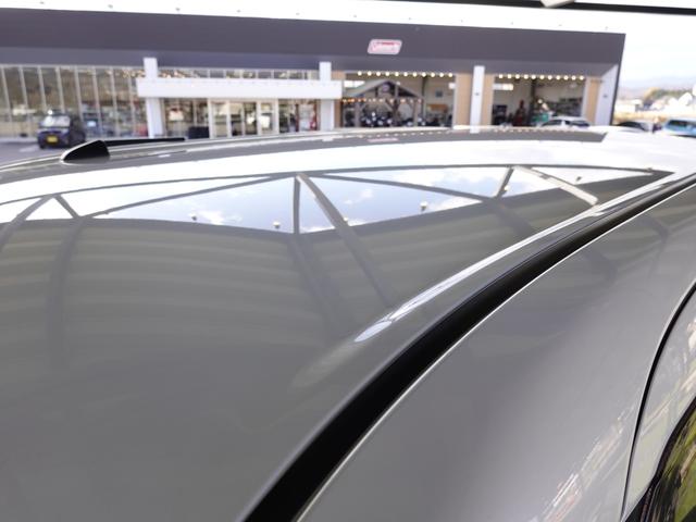 ムーヴキャンバス Ｘ　ＳＡＩＩＩ（16枚目）