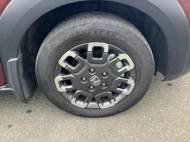 フリード クロスター（19枚目）