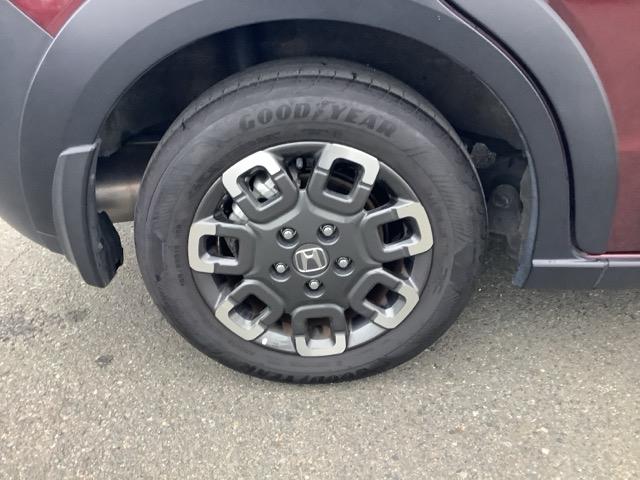 フリード クロスター（20枚目）