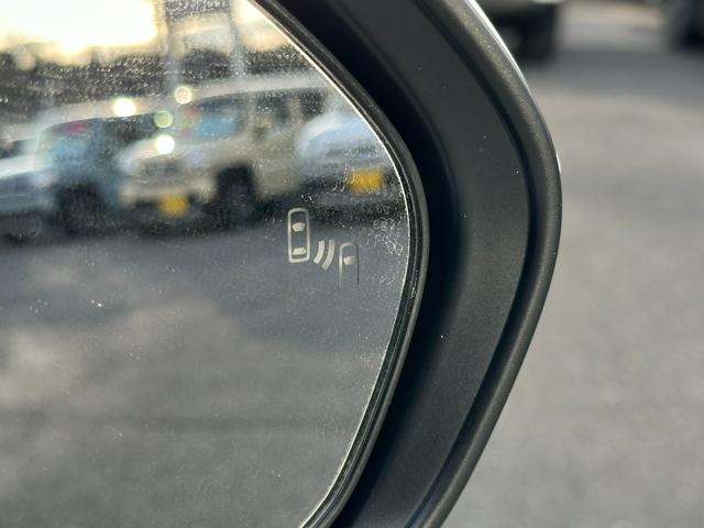 ���s���A�������ڋ߂���ԗ������m���ăh�A�~���[�ɃC���W�P�[�^�[���_�����Ēm�点�Ă����u���C���h�X�|�b�g���j�^�[