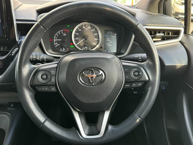 ����S�n�̂����{�v�X�e�A�����O